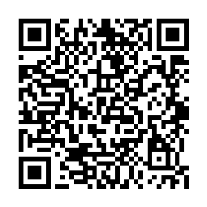 刚才的时候显然他也是被这恐怖的一幕给震撼了二维码生成