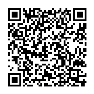 刚才的时候杨戬清楚的感受到了血神身上的那一闪而逝的浓浓的杀意二维码生成