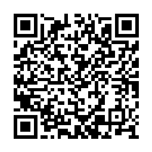 刚才的时候若是单单是自己击杀的巨型野猪的话二维码生成