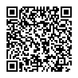 刚才督军大人已经提前告诉城内的人怎么样才可以保住身家性命的安全二维码生成