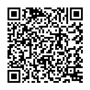 刚才秦洛用足全身力气打出去的一拳被大头用手掌给接下――以大头的实力二维码生成