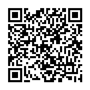 刚才还十分精神的说要看着爸爸妈妈一起睡着才睡二维码生成