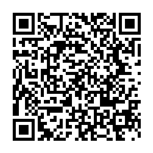 刚才还表现得很开放大胆的苏芷妍却一脸着急地拉着钟杨颖的手问道二维码生成