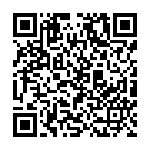刚才那个被萧易逼着打开专用应急电梯的保安也跟在了里面二维码生成