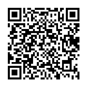 刚才那也出口竞价的火凤仙子是火云教火霞教主真传四弟子二维码生成