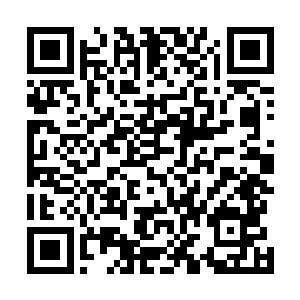 刚才那杀意滔天的眸子取而代之的是一种无法言语的恐惧二维码生成