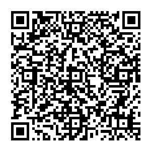 刚说完　就见风清扬与圣皇子脸色变得通红　像是要着火了一般　同时两股强烈的火热之力扑面而來二维码生成