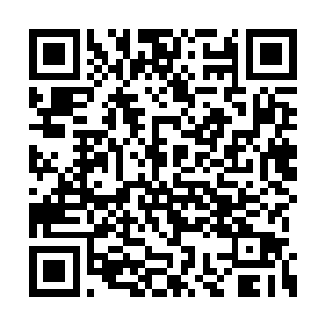 利用上升气流我们可以用滑翔翼飞很长一段距离二维码生成