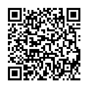 利用灵识时刻注意到车内情况的林烽发现李敏进想要下车二维码生成