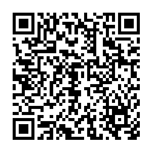 利用这些物品配合武艺进行高效的杀戮更是华夏军特种作战的重中之重二维码生成