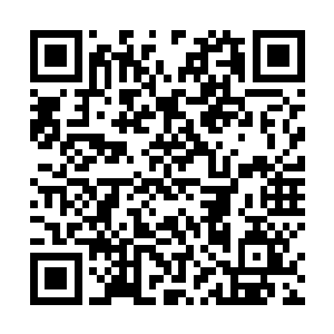 别人的计算能力不可能记住他们上山时候的几百种变化二维码生成