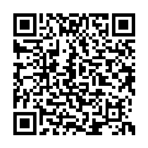 别人还以为你的狗是价值一百多万的纯种藏獒呢二维码生成