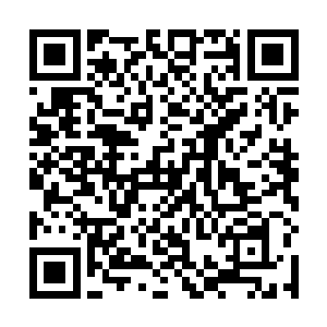 别以为有几个钱我们就得巴结你们这群不懂装懂的家伙二维码生成