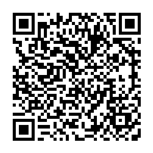 到底是个什么样子……若是能跟他们交交手过过招……那才是我生平至愿二维码生成