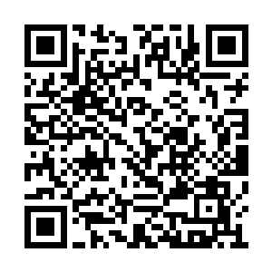 到底是什么样的力量让娘亲无怨无悔的等了五年二维码生成