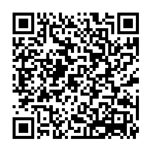 到底是挑选轻松一点的题材还是挑选严肃一点的题材……他们都需要从长计议二维码生成