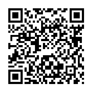 到时会有很多的女人争相在你面前扒光了衣服让你为她们画画二维码生成