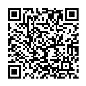 到时候一切都听我的指挥咱们就看一圈儿就回来你可别抱怨二维码生成