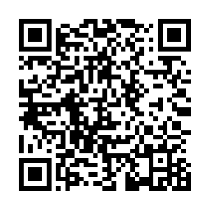 到时候下个月你的成人礼举行完毕之后我们马上就举行婚礼二维码生成