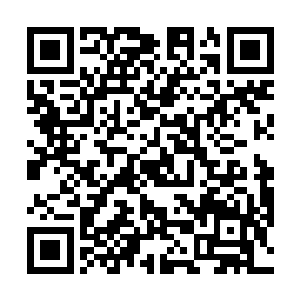 到时候公司分红的时候从家族的基金中拿一部分钱罢了二维码生成