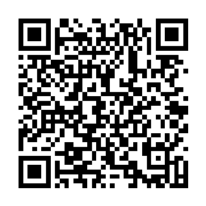 到时候我可以让我爷爷亲自给你们每户五十亩水田二维码生成