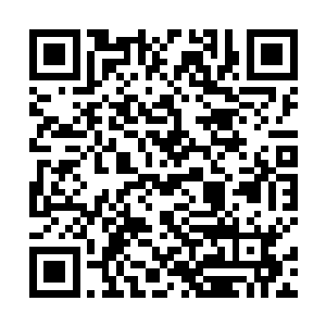 到时候杀戮之城的城主自然是会照顾他们这些留下的人二维码生成