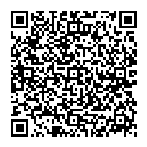 到时候自己有了新船一趟出海回来要不弄个十条八条的都对不起今天人家乔治说的自己像人家这样能赚钱二维码生成