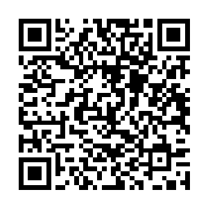 到时候虽然不敢明着怎么样你这个山主册封的洞主二维码生成