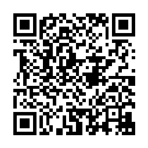 到时候邪族神王大能追杀凤凰族的半步神通后辈的消息传出去二维码生成