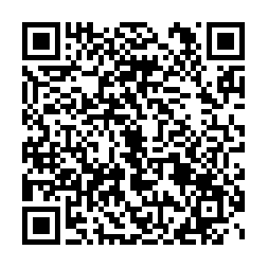 到没有什么特别值得说的――就四月一日那天白兰带她爬了一次东京塔二维码生成