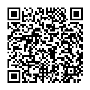 到现在东黎墨还没有放开那个雪狐刚才在白芷璃怀里挣扎的那个画面呢二维码生成