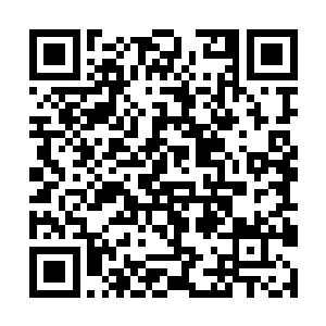 到目前位置一切都非常符合何塞·阿莱玛尼所说的二维码生成