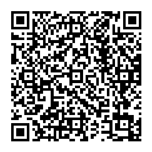 刷的一下在流墨墨面前打开的蓝色光幕上显露出满脸微笑的司空雨浩和一脸不愉的花间的上半身影像二维码生成