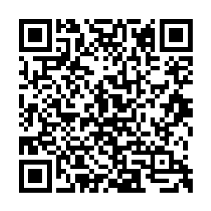 前一刻才嘲笑完对方排位峰靠得实力而不是运气二维码生成