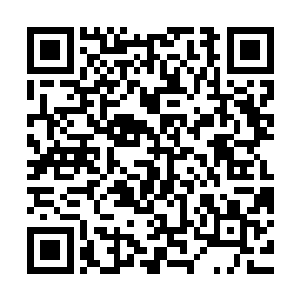 前几天我都在斋戒就是等着今天以一个最好的状态使用这枚神格二维码生成