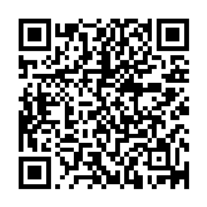 前前后后他们还没用到半个时辰竟然就已经将洛州城拿了下来二维码生成