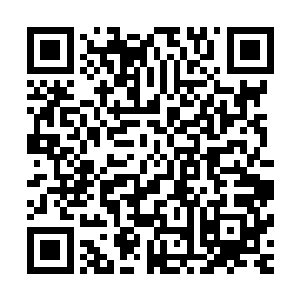 前半辈子所受的耻辱加起来也没有今天一次性所接受的这么多二维码生成