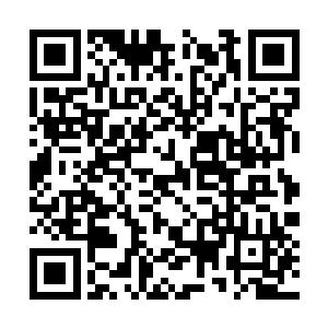 前后夹击着将铜棺化成的隔离带震出了细微的裂缝二维码生成