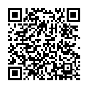 前往星海的每一个修士都要听从四大家族组成的联盟指挥二维码生成