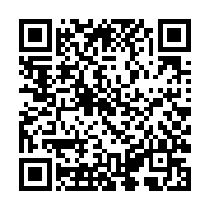 前方一根枯木吊着的棺木棺盖顶上不就落着一只黑鸦二维码生成