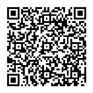 前苏联的东欧雇佣兵们在野外生存这个问题上比热带亚热带地区的军人们能力强多了二维码生成