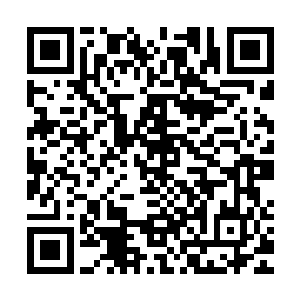 剑之力和雷之力融合以及可怕的雷罚剑术第二式都挡不住这齐磷二维码生成