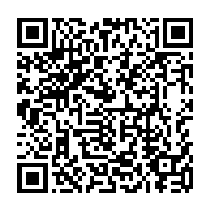 剑姬以及隐藏在暗中的金花娘没想到众人一下子将话题引到沈凡身上来了二维码生成