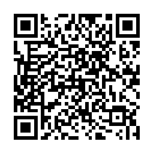 剑尘从空间戒指里拿出从玄黄小天界内获得的紫极灵竹二维码生成