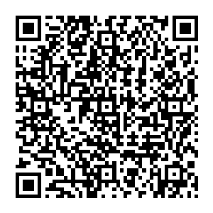 剑尘和努比斯在血剑门四大护法的带领下足足飞行了一天一夜的时间才终于來到了血剑门的驻地二维码生成