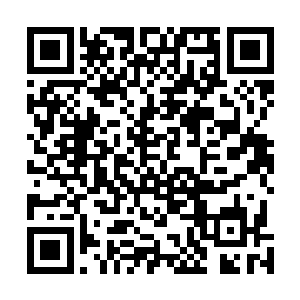 剑尘在书架上一个不起眼的地方抽出一张古老的兽皮出来二维码生成