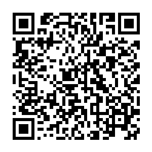 剑尘怀中抱着熟睡当中的小白虎站在隐蔽的洞口前聆听了下四周的动静二维码生成