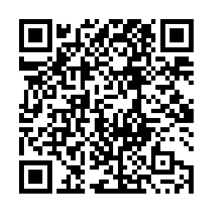 剑尘满心欢喜的用左手在轻风剑的剑身上轻轻的抚摸着二维码生成