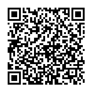 剑尘立即在不远处动用帝王神器砍伐了一颗直径足有一尺粗细的大树二维码生成