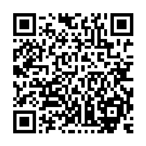 剧烈的冲击力和可怕的高压电流瞬间将这只变异螳螂打飞了出去二维码生成